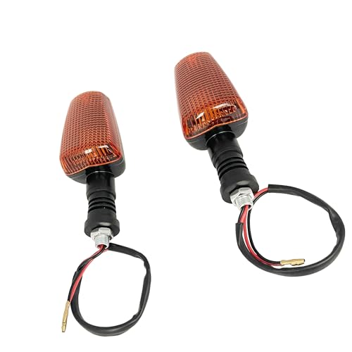 Moto indicateur lumineux clignotants direction paire de feux pour XJR400 SRX250