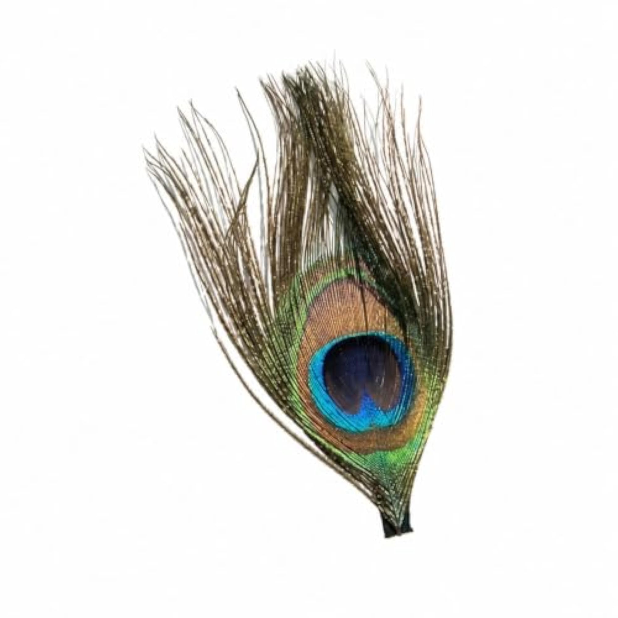 Ethnic-Inspired Peacock Feather Hair Clip, Lightweight