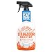 ANGRY ORANGE – Professional Strength Enzyme Pet Stain Spray & Odor Eliminator – Dog & Cat Urine Destroyer I for Floors & Carpet I – 32oz Pet Odor Remover