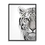 Stupell Industries 'White Tiger Close Up Black and White Photography', Framed Giclee Art, Black, 16 x 20 Inches, Easy to Hang and Sturdy, Made in USA, by Design Fabrikken
