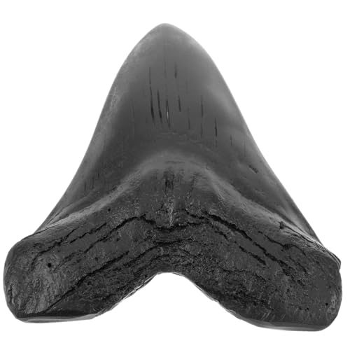 MUSISALY Realistic Megalodon Model Giant Shark Props for Decor Education and Collecting