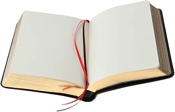 Amazon.co.jp: ビジネスノート メモ帳 聖書判 分厚いノート 手帳