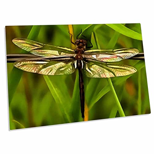Alfombrilla para escritorio 3dRose Dragonfly marrón y amarillo miniatura 1