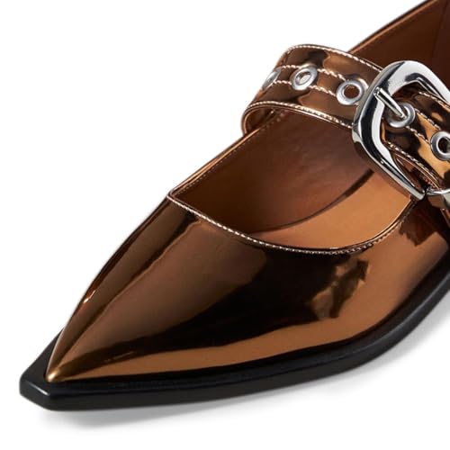 YDN Women's Buckled Strap Mary Jane Flats Fashion Pointed Toe Chunky Block Low Heels Formal Dress Business Party Shoes Size 4-16 US4