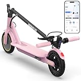Electric Scooter with 8.5