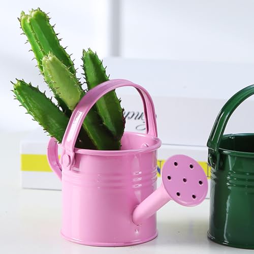 Bouilloire d'arrosage décorative Totority de 15 cm en fer avec long bec verseur de précision - 5