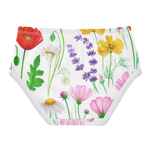 Animal Girls Underwear Toddlers 2t Cotton Girl Panties Cute Floral Painted Wildflowers Kids Undies Briefs2