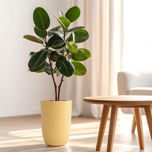 Image of YUCCABE ITALIA FOXB TPC 14 INCH Pots for Plants Highly Durable Polymers Lightweight Indoor Outdoor Plant Pots, Flower Pot Gamla Tree Planter Container Planters for Living Room, Balcony, Garden