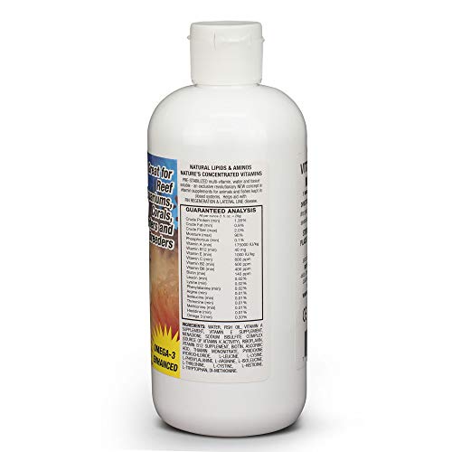 Image of Boyd Enterprises Vita Chem Marine Vitamin Supplement for Aquarium, 16-Ounce, Black (VCM16)