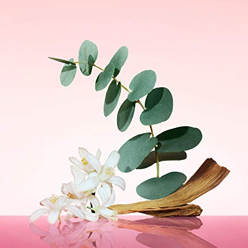 Women Calvin Klein Eau de Parfum - Perfume Feminino 50ml