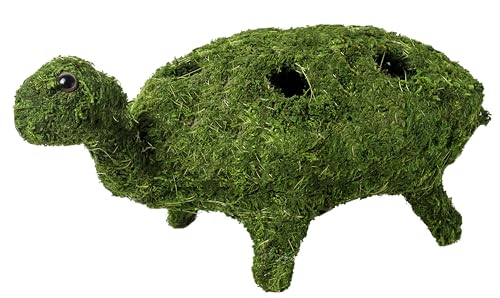SuperMoss (55410) Decorative Moss Turtle Planter Perfect for Home Decor, Office Decor, and Indoor Plant Display, 15? x 7.5? x 6?, Fresh Green
