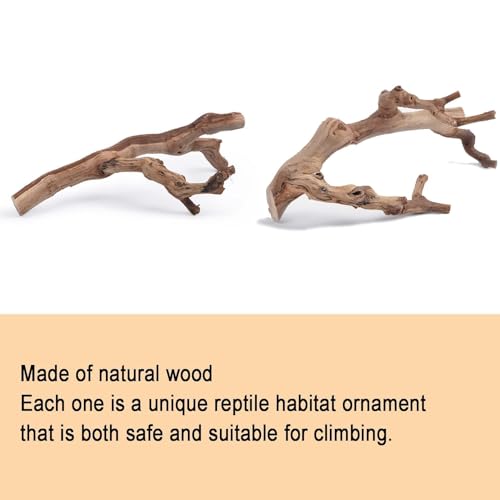 BNOSDM 2PCS Reptile Wood Branches Decor,Lizard Habitat Natural Wood Decoration,Snake Climbing Branch Accessories,Terrarium Tree Trunk Ornament for Bearded Dragon Gecko Frog Chameleon Spider
