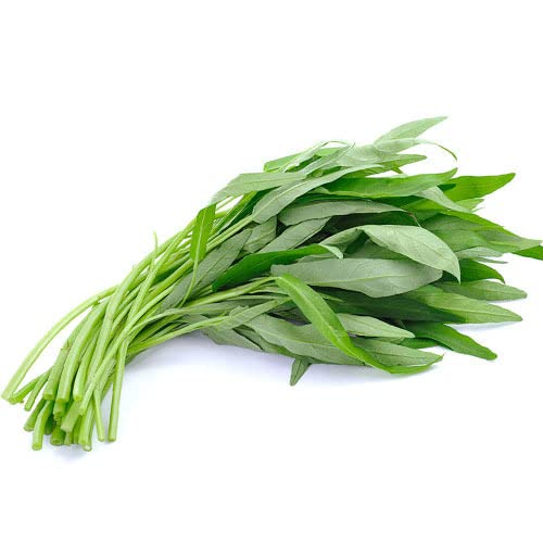 専用★空芯菜の種【1kg】 空芯菜（種、種子） | 花、ガーデニング のおすすめ人気商品一覧
