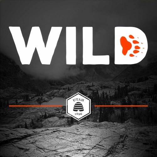 Wild cover art