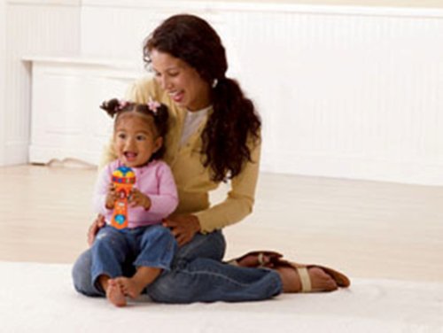 VTech Sing n Learn Microphone