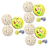 Boules d'oiseaux : en plus d'exercer le bec de l'oiseau, elles peuvent également exercer la préhension et la flexibilité des pattes de l'oiseau.