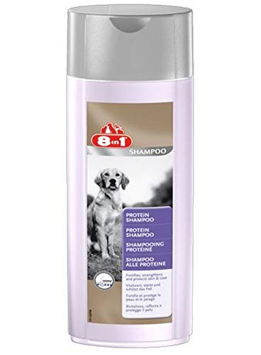 8in1 Protein Shampoo