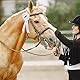 BEIMEIII 5 Stück Turnierschleife Pferd Turnierschleife Hobby Horse Turnierschleifen Abzeichen Turnierschleifen Pferde Schleife Pferd Reiterschleife Siegerschleife Pferd für Reitveranstaltungen Bunt