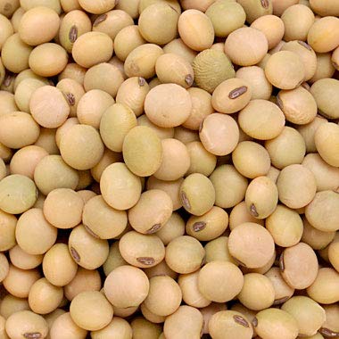 Y 哤 X [p yߘaSNYz kCY X味U哤 900g y[ցz