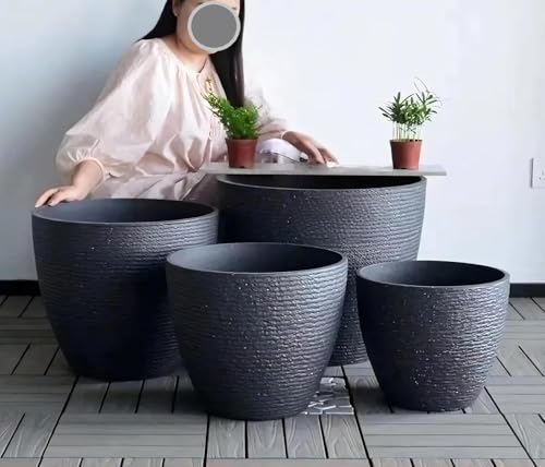 睡蓮鉢 特大」の人気商品一覧 | 安い商品を通販サイトから探す - 価格.com