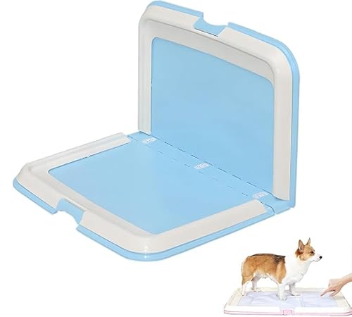 AZIEBAY  gC ܂肽ݎ  gCg[ Ch ی|ȒP ybggC g[jOgC g[ L^ gCg[ юUh~ǃv[gt gCg[