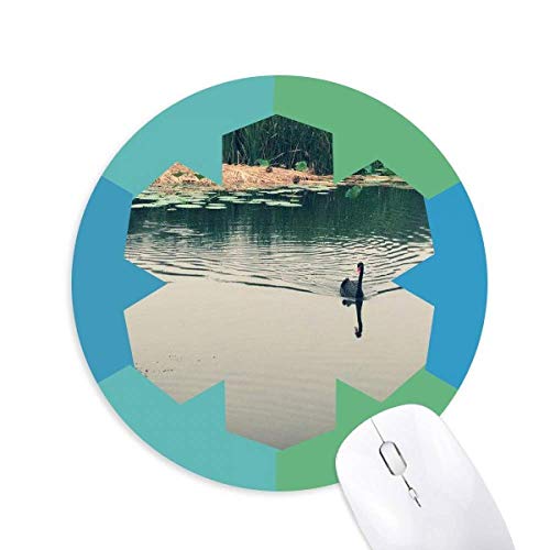 쐶̃J΂̎ʐ^ ~`S̐}EXpbh