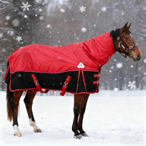 1680D All-Weather Horse Turnout Blanket with Detachable Neck Cover - 280g Medium Weight Winter Horse Blanket Water-Resistant & Breathable for Cold Weather (72in/135cm)