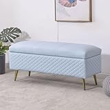 YCKEGEW Cofre Rectangular para El Salón, Banco para Zapatos con Tapa Abatible para El Recibidor Banco Otomano Extralargo para Colocar Al Pie De La Cama(Light Blue,40cm)