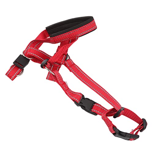 Yosoo Health Gear Hundekopfkragen Kopfhalter für Hunde Mündungsmündungsabgeeignetes Anti -Buckel -Gurt mit Weichem Nylonmaterial für Sichere Bequeme Spaziergänge Kontrollbisskraft (L)