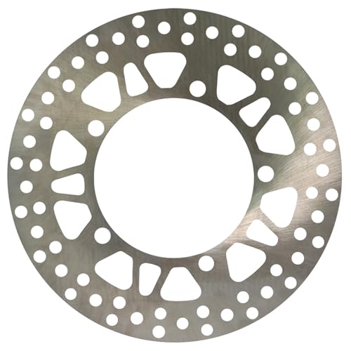 Rotor de disque de frein avant 250mm pour moto Suzuki Burgman AN250 AN400 AN650