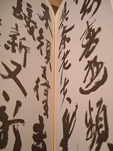 里見弴 絵と書 垣のぞき 木版画付 限定本 ケルスティン ティニ ミウラ装幀