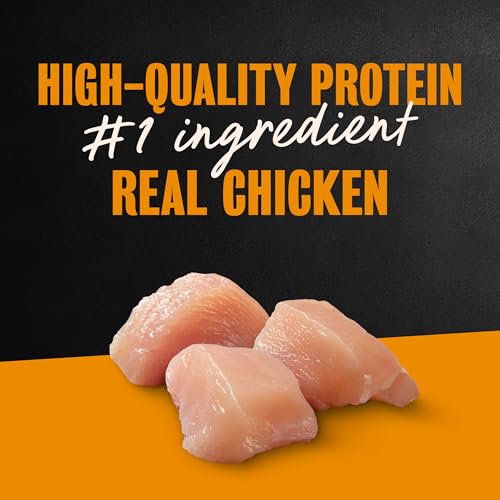 Image of Cesar Filets in Gravy Wet Dog Food, Rotisserie Chicken, 3.5 oz, 24 Count | Real chicken #1 ingredient, easy to digest, no fillers or artificial flavors, can be used as food topper, easy peel trays