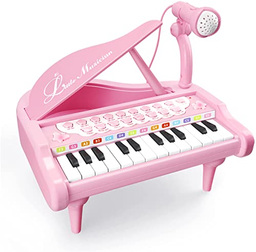 Litaonner Pink Toy Piano with Microphone for Girls Birthday Gifts 1 2 3 4 Years Old Kids 24 Keys Toddler Piano Keyboard Musical Toys
