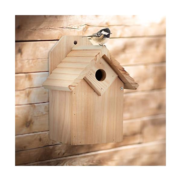 Relaxdays Nistkasten für Vögel, 28 mm Einflugloch, Vogelhaus zum Aufhängen, unbehandeltes Holz, HBT: 25x19x16 cm, Natur… – Bild 6