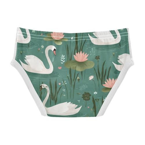 Wusikd Cute Swans Boys' Underwear Cotton Boys Briefs Soft Toddler Underwear 2T2