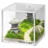 苔テラリウム 完成品 プリザーブド苔 日本製 枯れない 水やり不要 ミニチュア ミラー付き ガラス容器 蓋付き MOSS CUBE UVカット99% 国産 石灯篭 和風 6.5cm キューブ インテリア ギフト プレゼント デスク 卓上 癒し 開店祝い 新築祝い 日本土産