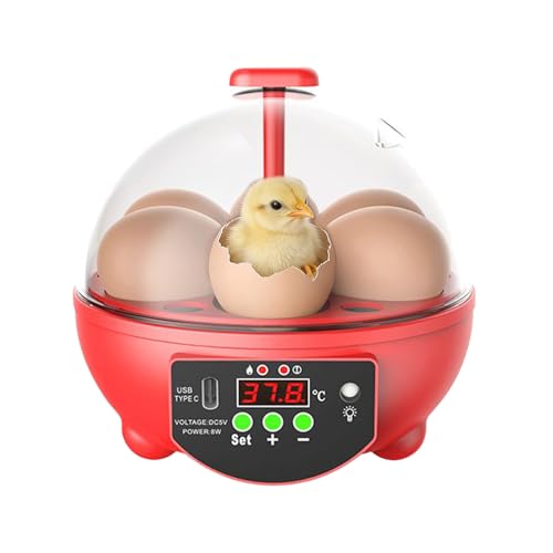 Incubateur de poulet – Petit chandelier pour volaille, incubateur d'incubation d'œufs à fenêtre transparente avec contrôle automatique de la température et de l'humidité | Couveuse domestique pour