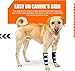 NeoAlly- Front Leg Brace for Dogs & Cats, Dog Leg Brace with Metal Spring Inserts, Dog Leg Sleeve for Carpal Support, Dog Leg Sleeve with Reflective Straps, XXS to XS, Left Leg