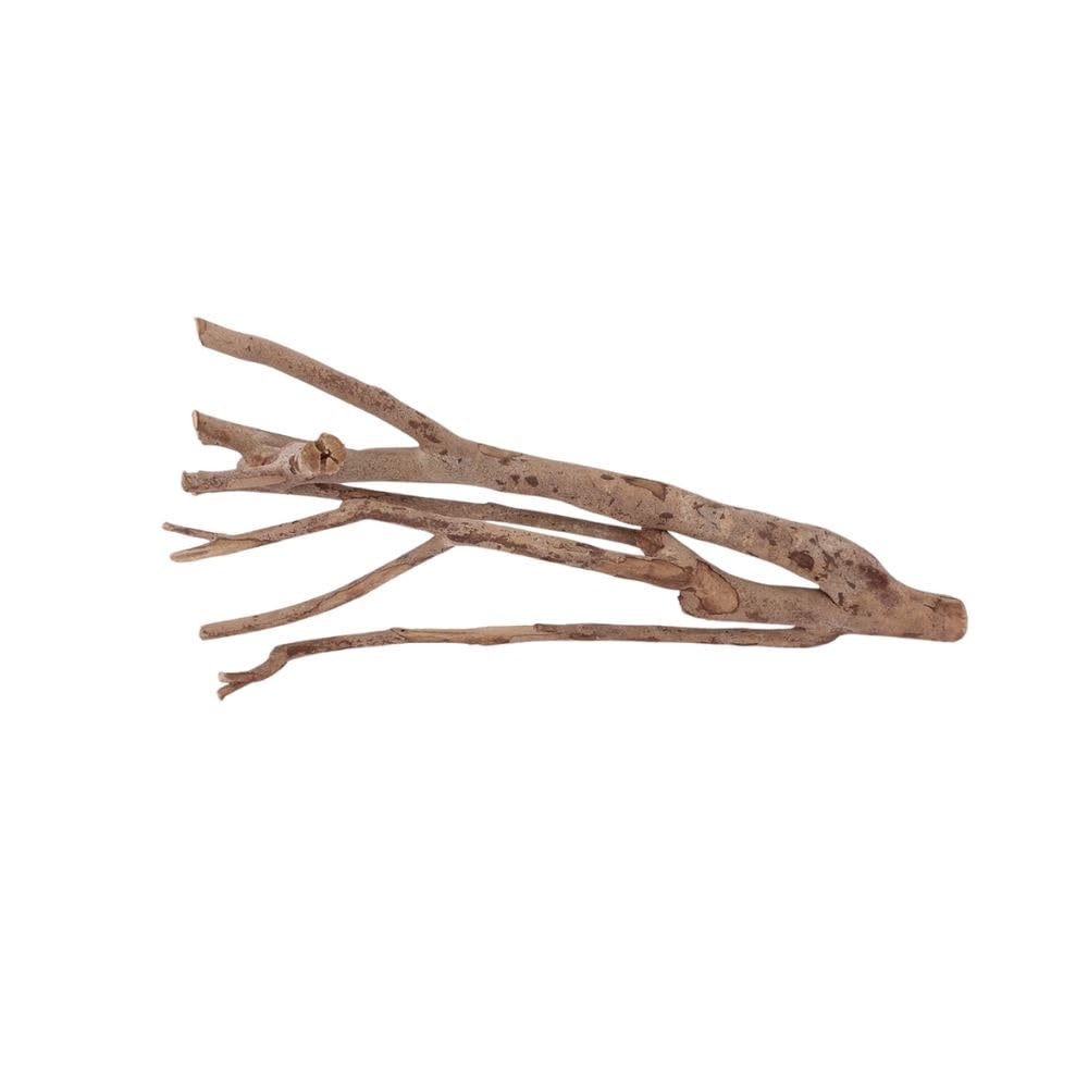 AquaOne L radice di talawa n. 2313 - Decorazione per acquario, radice in legno, decorazione per acquario, paesaggio, mangrove, muschio, naturale, vero legno