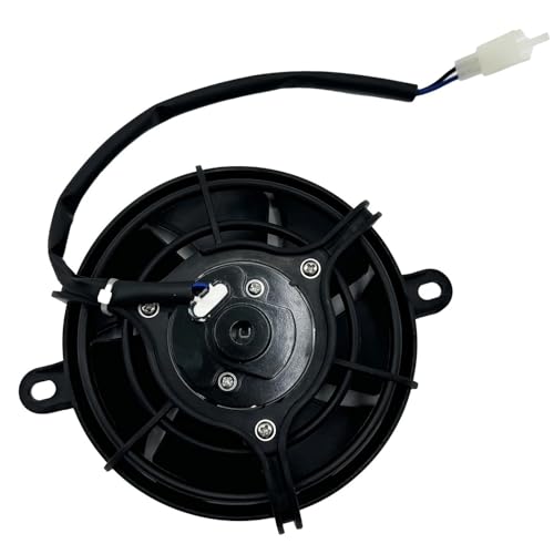 Extractor térmico de alta capacidad para Quad BS200s-7 y BS250s-11 5