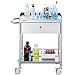VEVOR Medical Trolley, Dual-Tier Stainless Steel Trolley with a 220 lbs Load Limit, Equipped with Quiet 360° Casters and a Drawer, Ideal for Laboratories, Clinics, Kitchens, and Salons