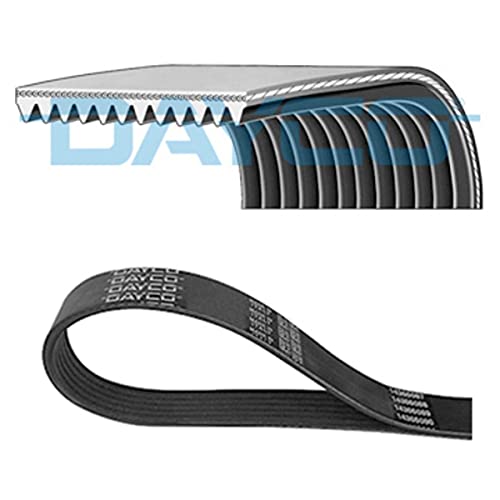 Courroie Poly-V DAYCO 12PK1730HD en caoutchouc renforcé pour les professionnels