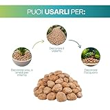 VIRSUS B0BQWSRFZ3 lato 4