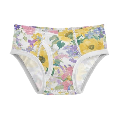 visesunny Boys Cotton Underwear Oil Painting Peony Sunflower Flower Printed Toddler Soft Training Briefs Size 2T-8Y for Kids