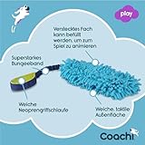 Coachi Tuggi Hide, perfekt für interaktives Spiel, robust & angenehm, dehnbarer Bungee-Griff, Belohnungstraining, Rückruftraining, Unterbinden von Beißen & Kauen, ideal für Agility. Für Hunde & Welpen