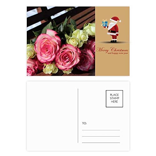 Cartes postales fleurs roses pour embellir vos messages de gratitude