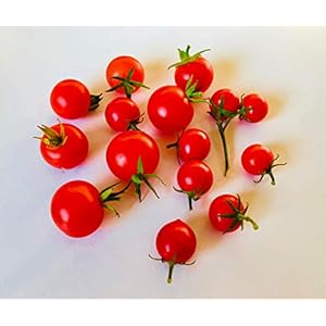 Mexicaanse honingtomaat 10 zaden -suikerzoet- *** Momenteel de duurste tomatensoorten ***