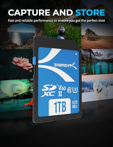 Image of SABRENT Rocket V60 1TB SD UHS-II Memory Card R270MB /s W170MB /s (SD-TL60-1TB)