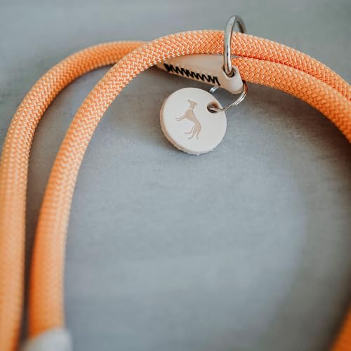 HUNTER Verstellbare Hundeführleine Malia, Farbe: weinrot/Dunkelbraun, geschmeidiges Tau & Robustes Leder, 3-Fach verstellbar, leicht, strapazierfähig, moderner Look, Made in Germany, Größe: 10/200