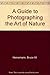 A Guide to Photographing the Art of Nature